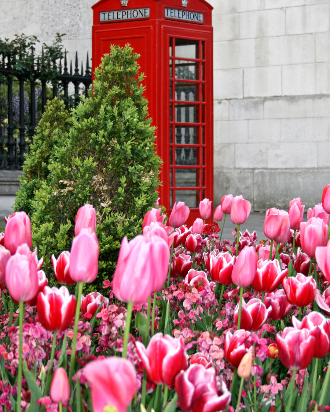 ロンドン名物赤い電話ボックス - イギリス文化体験